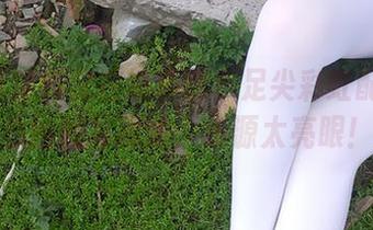 嗯…西尔酱又在搞事情?足尖彩虹配上JK白丝的写真集,资源太亮眼!